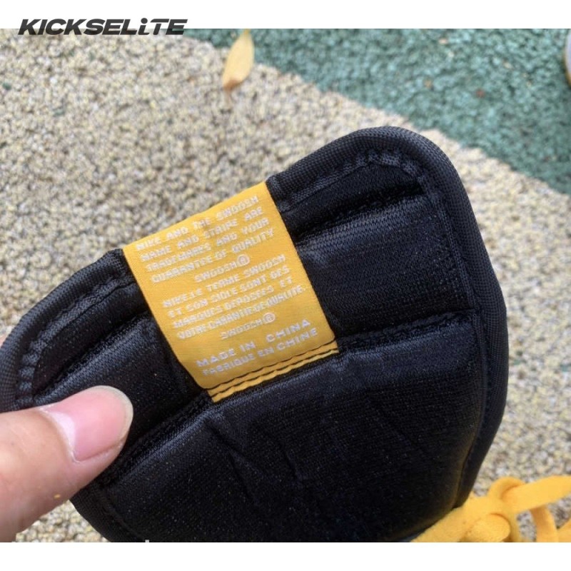 Air Jordan 1 High Retro OG 'Pollen' Men's