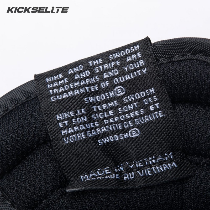 Nike Dunk Low Essential Paisley Pack Black DH4401-100 Unisex