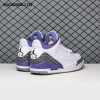 Air Jordan 3 Dark Iris CT8532-105 Men's