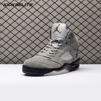 Air Jordan 5 Light Bone (2023) FD1330-006 Men's