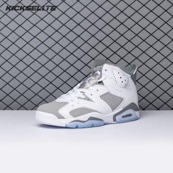 Air Jordan 6 Cool Grey CT8529-100 Men's