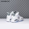 Air Jordan 6 Cool Grey CT8529-100 Men's
