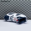 Air Jordan 6 