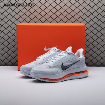 Nike Air Zoom Pegasus Premium Airscape HQ2592-002 Unisex