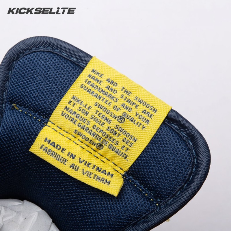 Dunk Low 'Michigan' 2021 Unisex