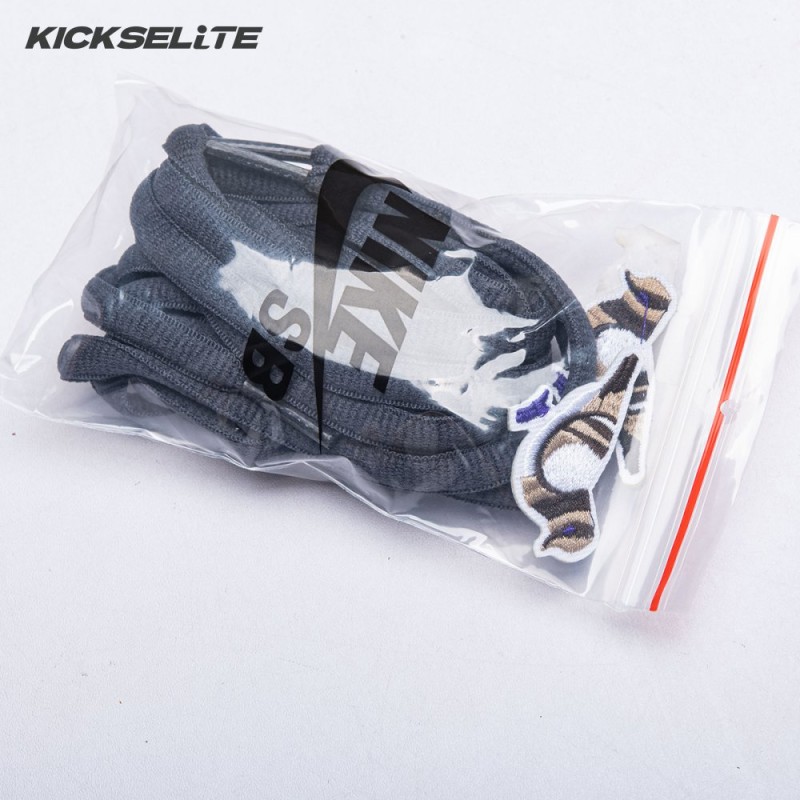 Dunk Low Pro SB 'Purple Pigeon' Unisex