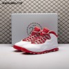 Jordan 10 Retro Red Steel 310805-161 Men's