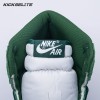 Jordan 1 Retro High OG Gorge Green DZ5485-303 Unisex