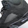 Air Jordan 5 Air Jordan 5