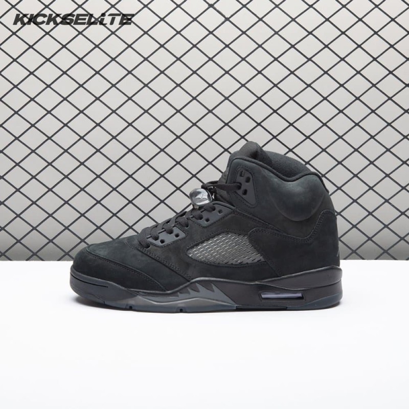 Air Jordan 5 Air Jordan 5