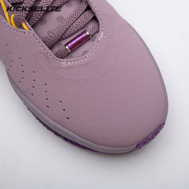 Nike LeBron 21 Purple Rain FV2345-500/FV2346-500 Unisex