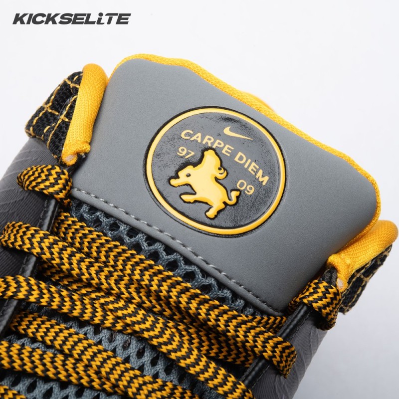 Nike Kobe 4 Protro Carpe Diem AV6339-001 Men's