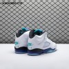 Jordan 5 Retro Grape 2025 HQ7980-100 Women's Jordan 5 Retro Grape 2025 HQ7980-100 Women's