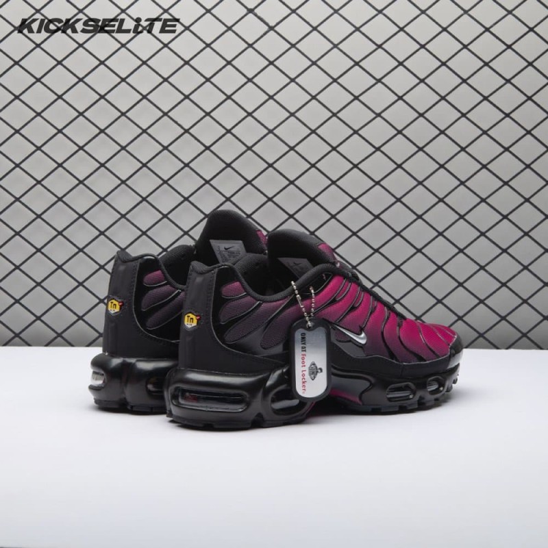 Nike Air Max Plus Black Pink FJ5481-010 Men's