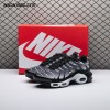 Nike Air Max Plus Black Silver White DM0032-003 Unisex