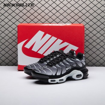 Nike Air Max Plus Black Silver White DM0032-003 Unisex