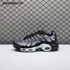 Nike Air Max Plus Black Silver White DM0032-003 Unisex Nike Air Max Plus Black Silver White DM0032-003 Unisex