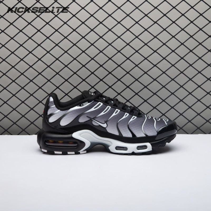 Nike Air Max Plus Black Silver White DM0032-003 Unisex Nike Air Max Plus Black Silver White DM0032-003 Unisex