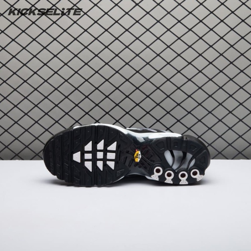 Nike Air Max Plus Black Silver White DM0032-003 Unisex Nike Air Max Plus Black Silver White DM0032-003 Unisex